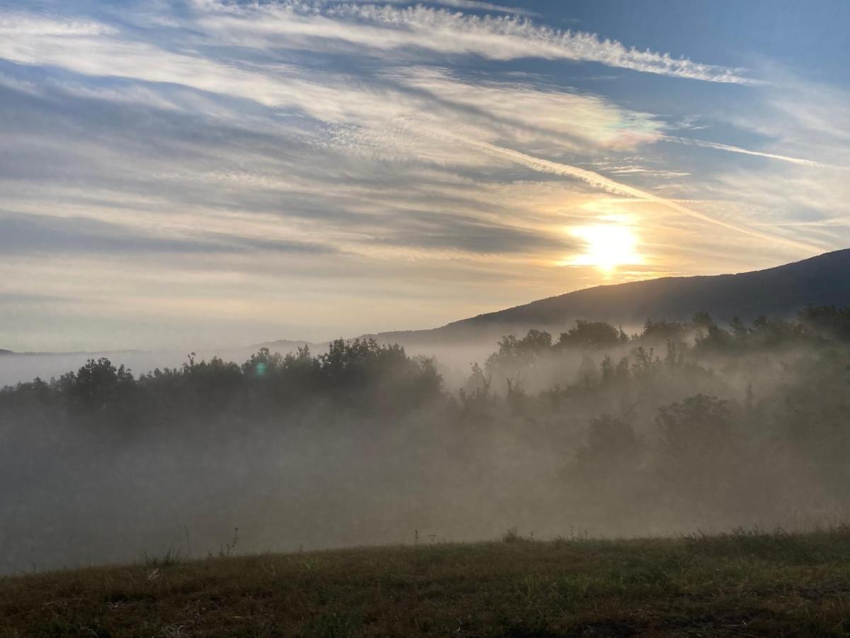 Azienda Agricola Saint Hubert Cantalupo Ligure Eksteriør bilde