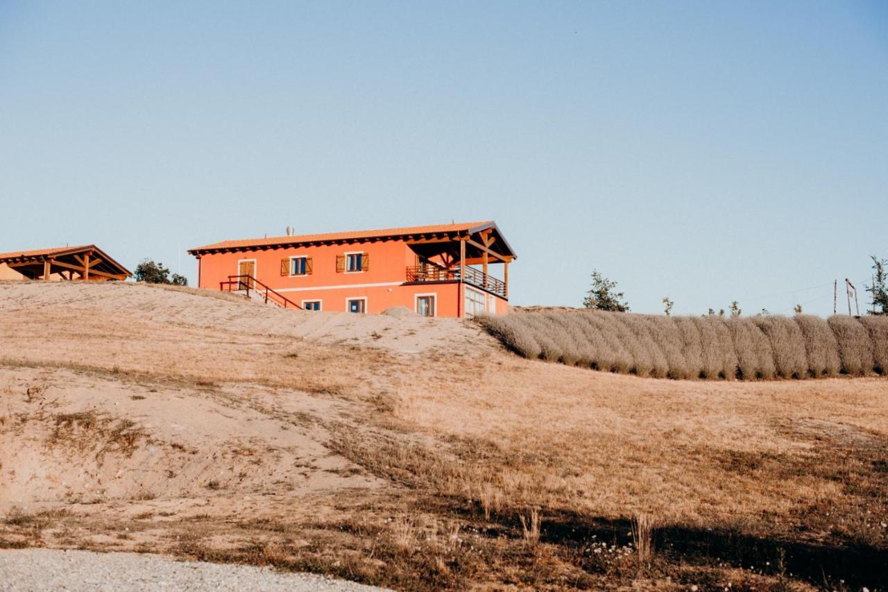 Azienda Agricola Saint Hubert Cantalupo Ligure Eksteriør bilde